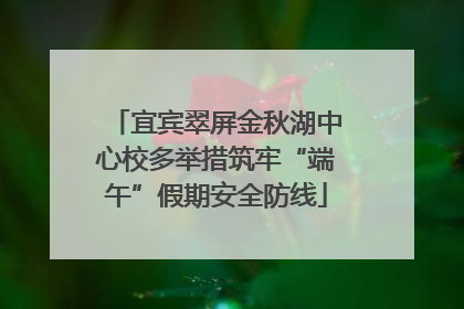 宜宾翠屏金秋湖中心校多举措筑牢“端午”假期安全防线