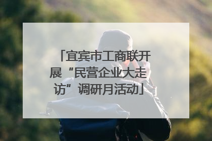 宜宾市工商联开展“民营企业大走访”调研月活动