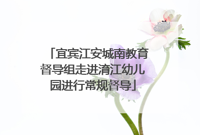 宜宾江安城南教育督导组走进淯江幼儿园进行常规督导