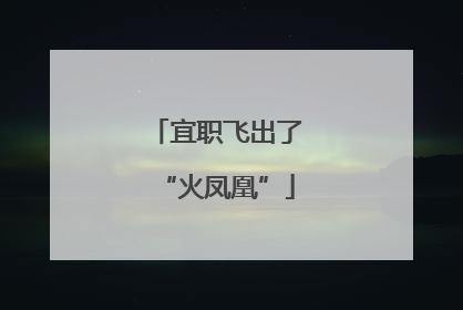 宜职飞出了“火凤凰”