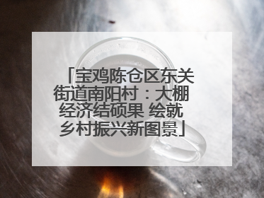 宝鸡陈仓区东关街道南阳村：大棚经济结硕果 绘就乡村振兴新图景