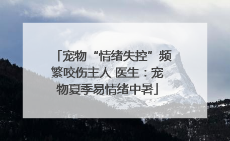 宠物“情绪失控”频繁咬伤主人 医生：宠物夏季易情绪中暑