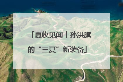 夏收见闻丨孙洪旗的“三夏”新装备