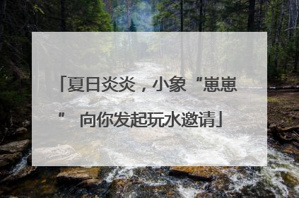 夏日炎炎，小象“崽崽” 向你发起玩水邀请