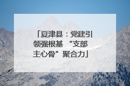 夏津县：党建引领强根基 “支部主心骨”聚合力
