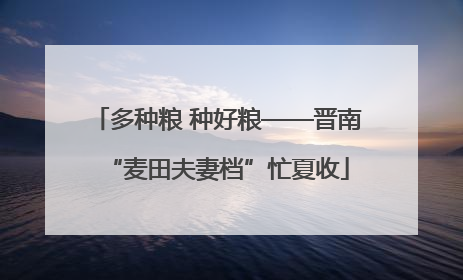 多种粮 种好粮——晋南“麦田夫妻档”忙夏收