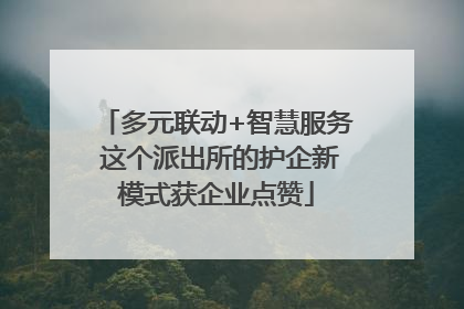 多元联动+智慧服务 这个派出所的护企新模式获企业点赞
