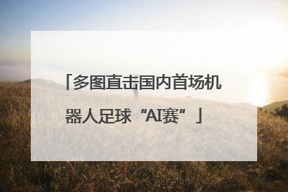 多图直击国内首场机器人足球“AI赛”