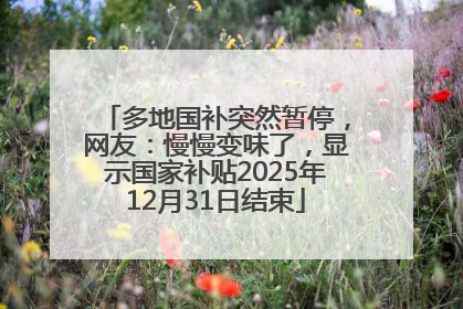 多地国补突然暂停，网友：慢慢变味了，显示国家补贴2025年12月31日结束