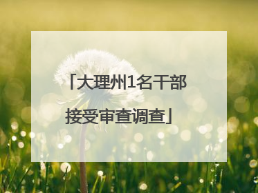 大理州1名干部接受审查调查