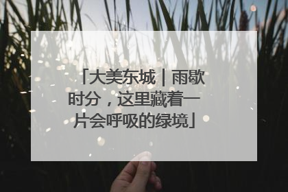 大美东城｜雨歇时分，这里藏着一片会呼吸的绿境