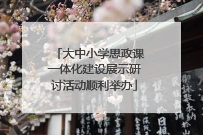 大中小学思政课一体化建设展示研讨活动顺利举办