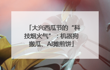 大兴西瓜节的“科技烟火气”：机器狗搬瓜、AI摊煎饼