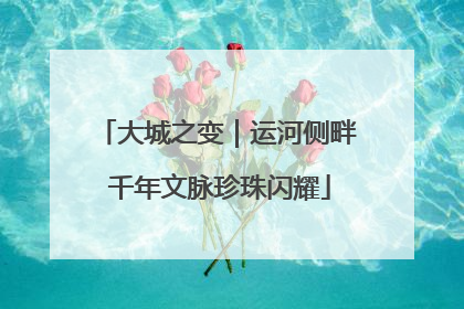 大城之变｜运河侧畔 千年文脉珍珠闪耀