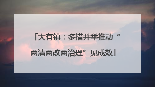 大有镇：多措并举推动“两清两改两治理”见成效