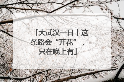大武汉一日丨这条路会“开花”，只在晚上有