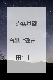夯实基础育出“致富田”