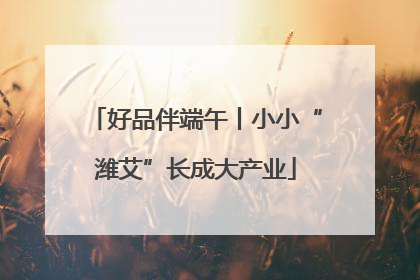 好品伴端午丨小小“潍艾”长成大产业