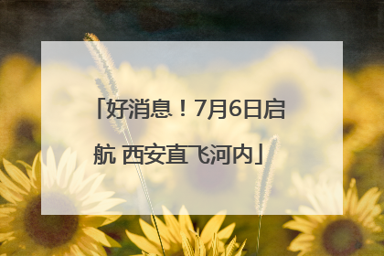 好消息！7月6日启航 西安直飞河内
