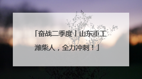 奋战二季度丨山东重工潍柴人,全力冲刺!