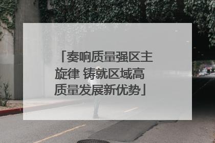 奏响质量强区主旋律 铸就区域高质量发展新优势