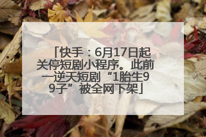 快手：6月17日起关停短剧小程序。此前一逆天短剧“1胎生99子”被全网下架