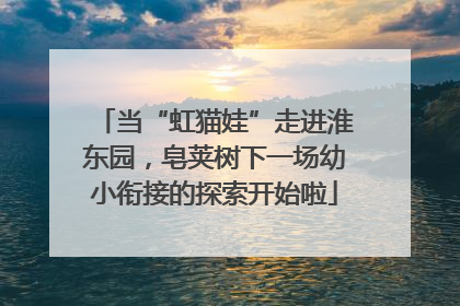 当“虹猫娃”走进淮东园，皂荚树下一场幼小衔接的探索开始啦