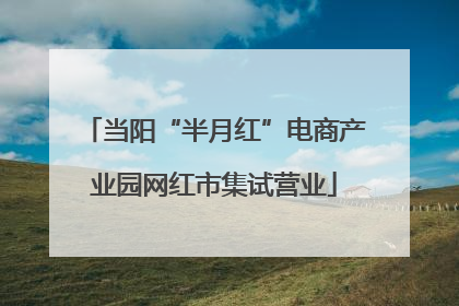 当阳“半月红”电商产业园网红市集试营业
