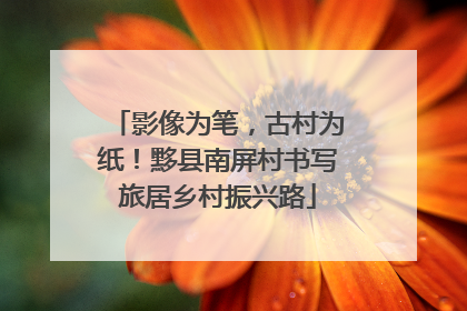影像为笔，古村为纸！黟县南屏村书写旅居乡村振兴路