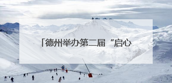 德州举办第二届“启心”研讨交流活动——共筑学生心理健康防护网