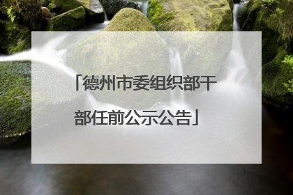 德州市委组织部干部任前公示公告