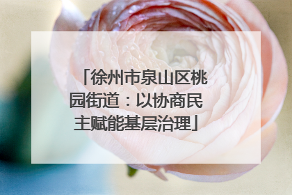 徐州市泉山区桃园街道：以协商民主赋能基层治理