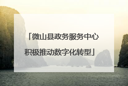 微山县政务服务中心积极推动数字化转型