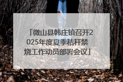 微山县韩庄镇召开2025年度夏季秸秆禁烧工作动员部署会议