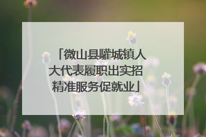 微山县驩城镇人大代表履职出实招精准服务促就业