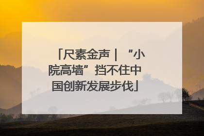 尺素金声｜“小院高墙”挡不住中国创新发展步伐