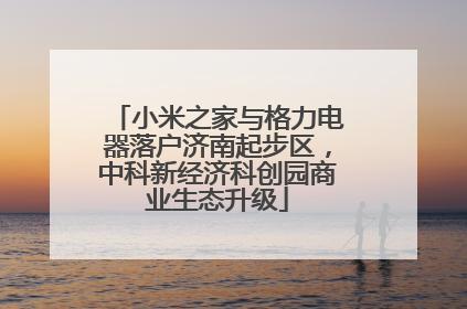小米之家与格力电器落户济南起步区，中科新经济科创园商业生态升级