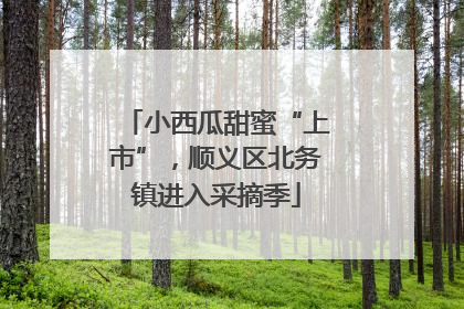 小西瓜甜蜜“上市”，顺义区北务镇进入采摘季
