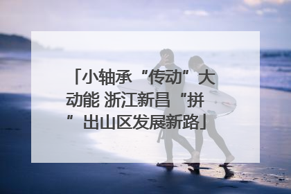 小轴承“传动”大动能 浙江新昌“拼”出山区发展新路