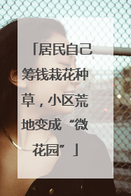 居民自己筹钱栽花种草，小区荒地变成“微花园”