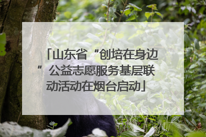 山东省“创培在身边”公益志愿服务基层联动活动在烟台启动