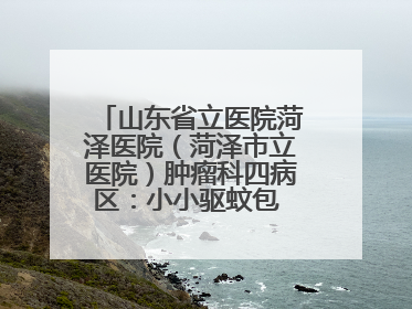 山东省立医院菏泽医院（菏泽市立医院）肿瘤科四病区：小小驱蚊包 暖暖医患情