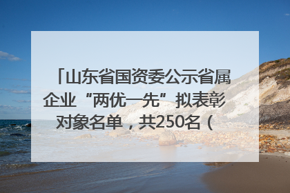 山东省国资委公示省属企业“两优一先”拟表彰对象名单，共250名（个）党员和党组织