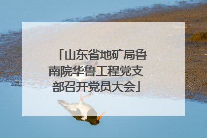 山东省地矿局鲁南院华鲁工程党支部召开党员大会