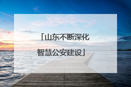 山东不断深化智慧公安建设