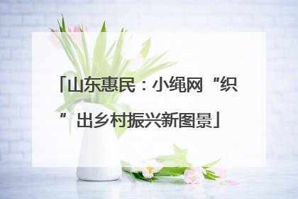 山东惠民：小绳网“织”出乡村振兴新图景
