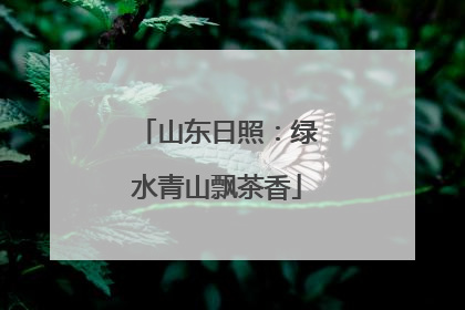 山东日照：绿水青山飘茶香