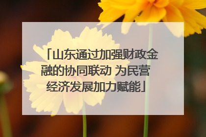 山东通过加强财政金融的协同联动 为民营经济发展加力赋能