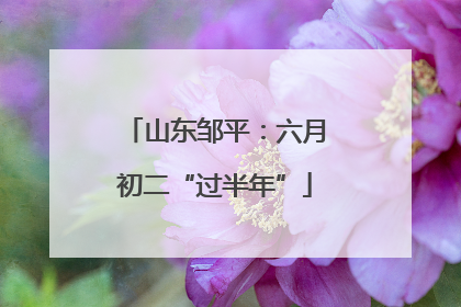 山东邹平：六月初二“过半年”