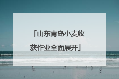 山东青岛小麦收获作业全面展开
